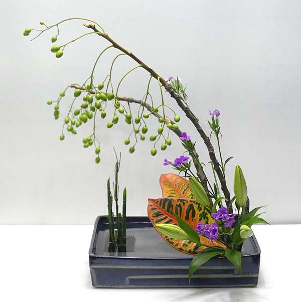年6月8日的池坊作品 自由花 小蕭的秘密花園 痞客邦 年6月8日的池坊作品 自由花 小蕭的秘密花園 痞客邦