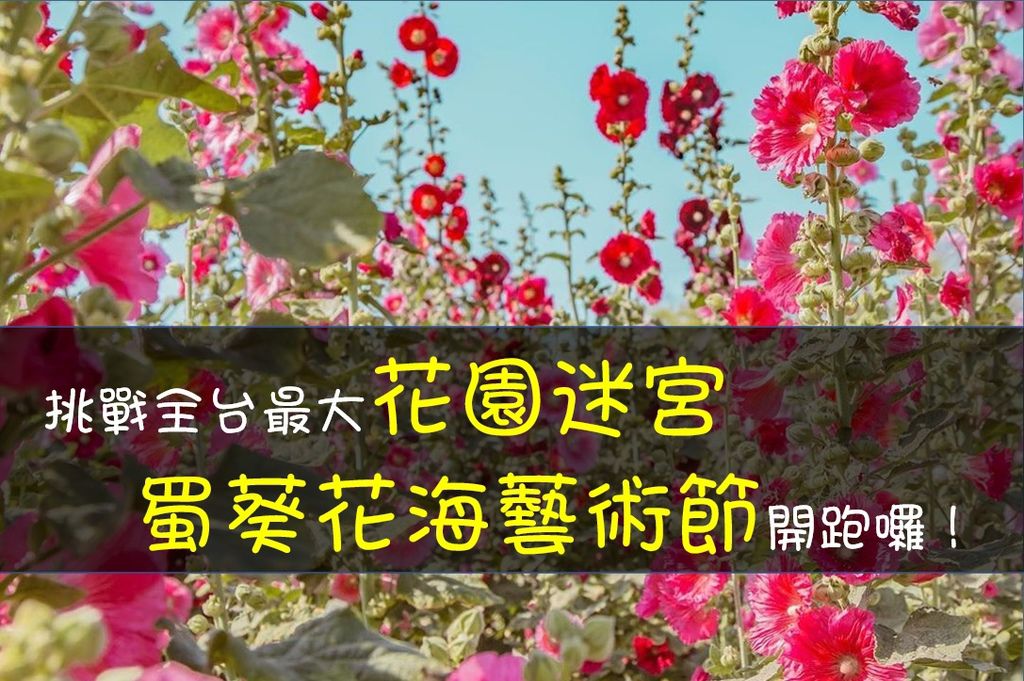 挑戰全台最大花園迷宮，蜀葵花海藝術節開跑囉!.jpg