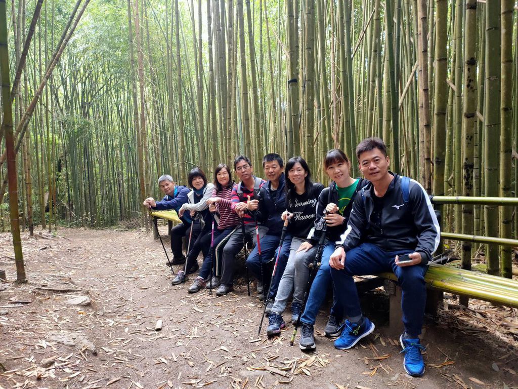 司馬庫斯登山步道沿路風景05.jpg