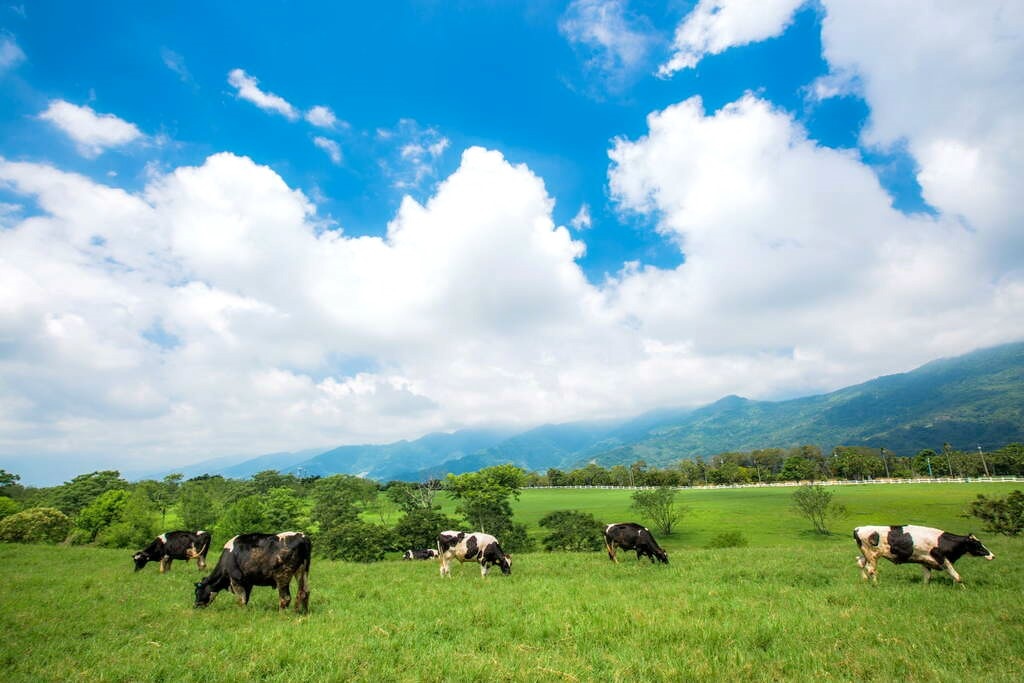 台東山線景點_初鹿牧場.jpg