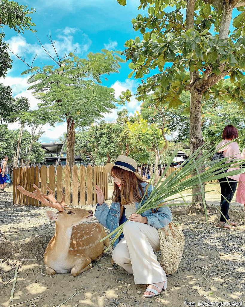 墾丁鹿境梅花鹿生態園區餵梅花鹿.jpg