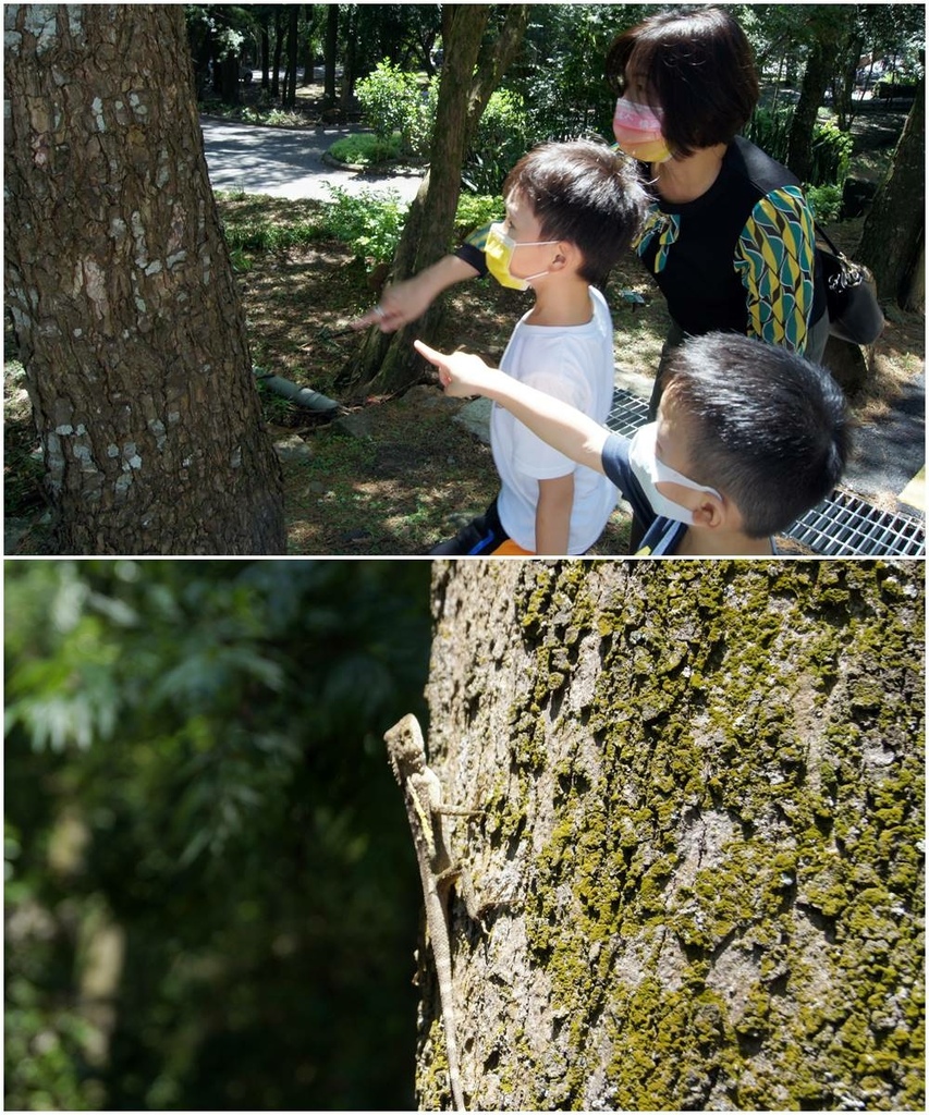 台大實驗林和社森林教育中心.jpg