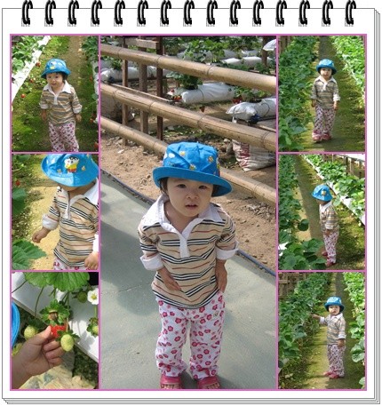 2y1m~草莓园 2y1m~草莓园