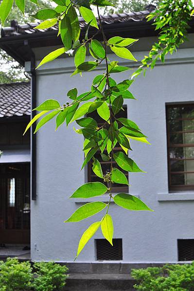 宜蘭設治紀念館10 宜蘭設治紀念館10