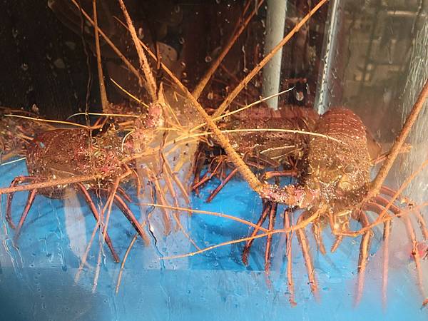 LINE_ALBUM_明水然_230316_14 LINE_ALBUM_明水然_230316_14