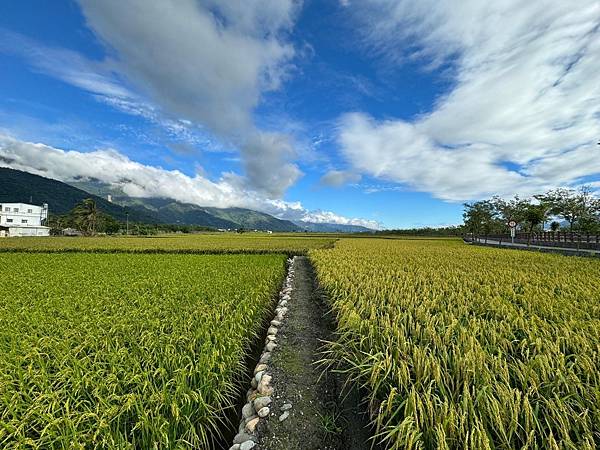 LINE_ALBUM_酒_241001_123 LINE_ALBUM_酒_241001_123