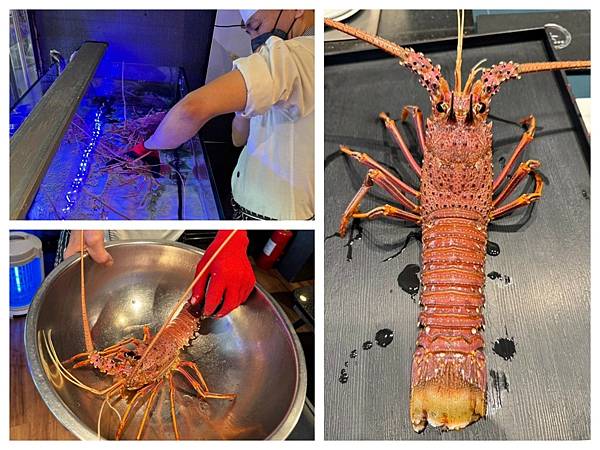 LINE_ALBUM_合牛_241230_3