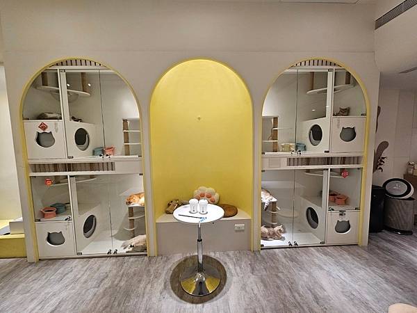 LINE_ALBUM_貓_250206_278 LINE_ALBUM_貓_250206_278