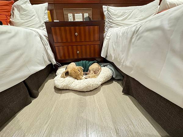 LINE_ALBUM_娜路彎_250316_205 LINE_ALBUM_娜路彎_250316_205