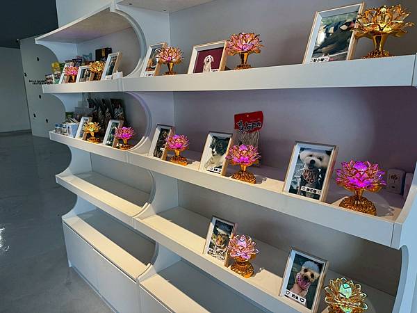 LINE_ALBUM_洄歸_251121_4 LINE_ALBUM_洄歸_251121_4