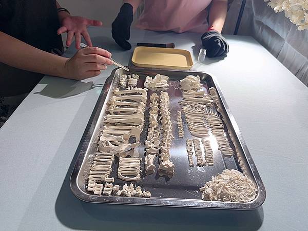 LINE_ALBUM_洄歸_251121_35 LINE_ALBUM_洄歸_251121_35