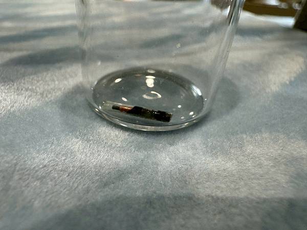 LINE_ALBUM_洄歸_251121_21 LINE_ALBUM_洄歸_251121_21