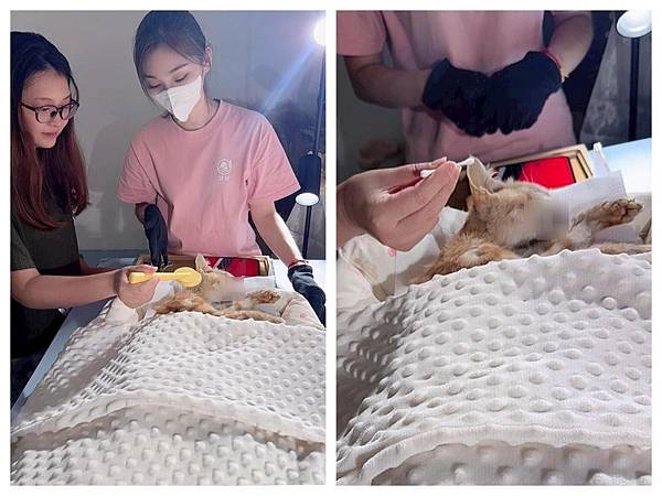 LINE_ALBUM_洄歸_251125_2 LINE_ALBUM_洄歸_251125_2