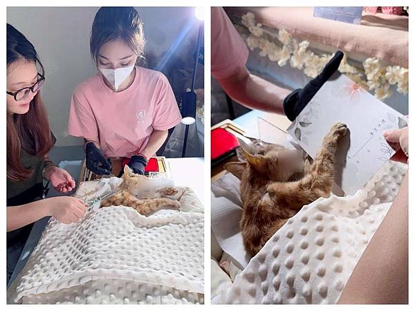 LINE_ALBUM_洄歸_251125_3 LINE_ALBUM_洄歸_251125_3