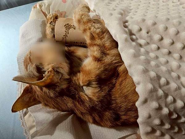 LINE_ALBUM_洄歸_251125_4 LINE_ALBUM_洄歸_251125_4