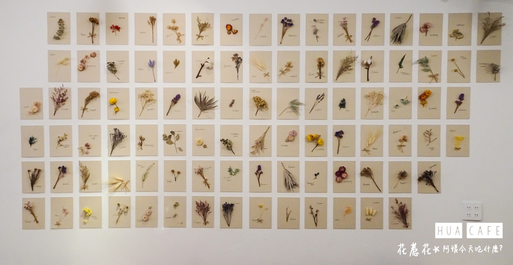 DSC03555.jpg DSC03555.jpg