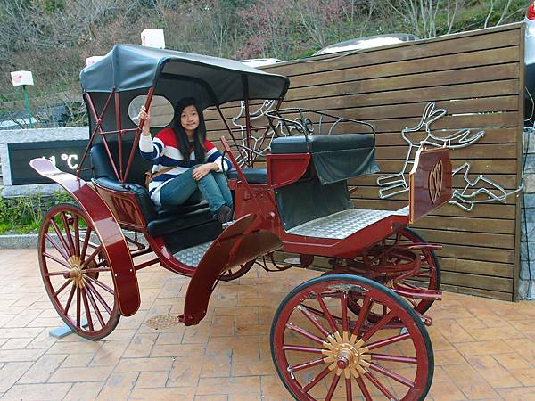 國民賓館前的馬車