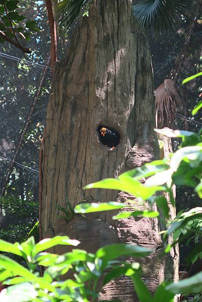 再保人帶我們去香港公園