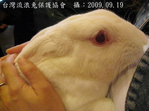 06.jpg 06.jpg