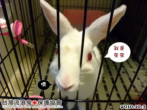 奈奈01.jpg 奈奈01.jpg