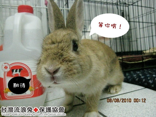雙雙.jpg 雙雙.jpg