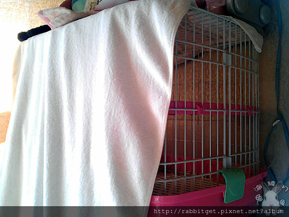 晚上怕吵專用 - KIKI的小窩現況-養兔基本配備