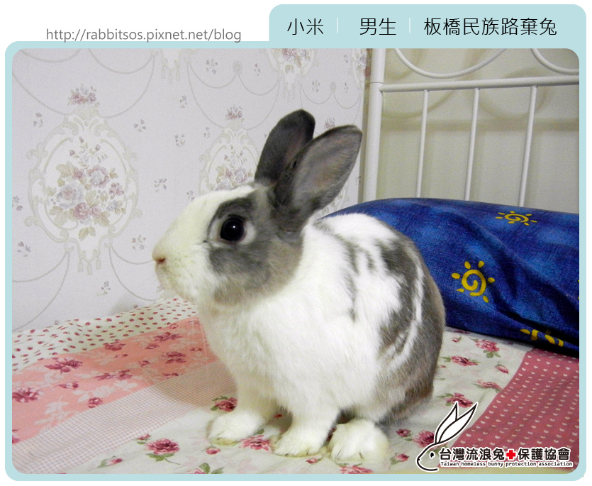 DSCN3725 DSCN3725