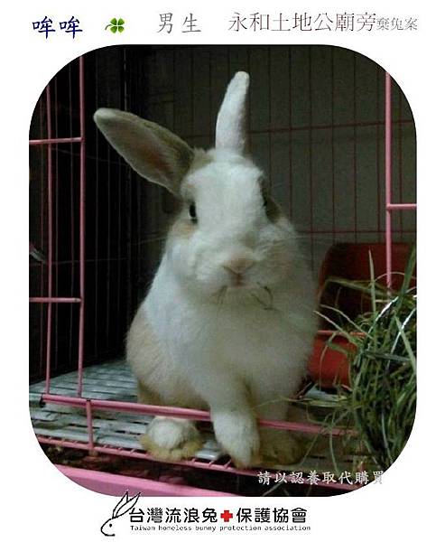 PhotoCap_002.jpg PhotoCap_002.jpg
