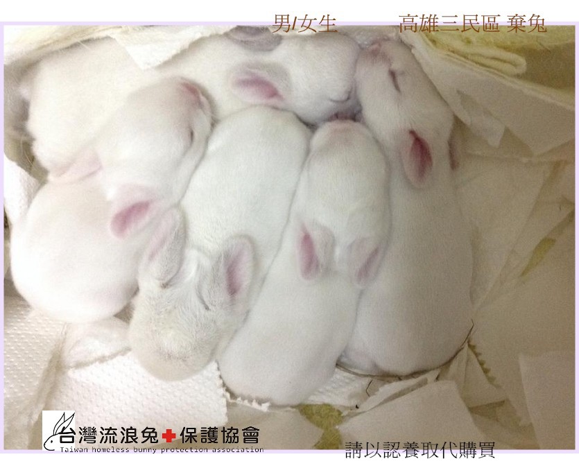 PhotoCap_001.jpg PhotoCap_001.jpg