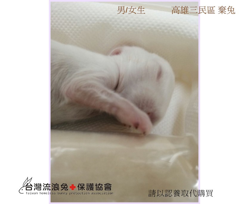 PhotoCap_002.jpg PhotoCap_002.jpg