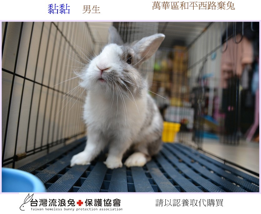 PhotoCap_001.jpg PhotoCap_001.jpg