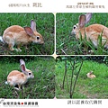PhotoCap_001
