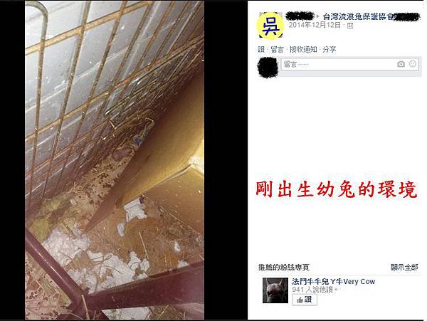 髒亂環境3 髒亂環境3