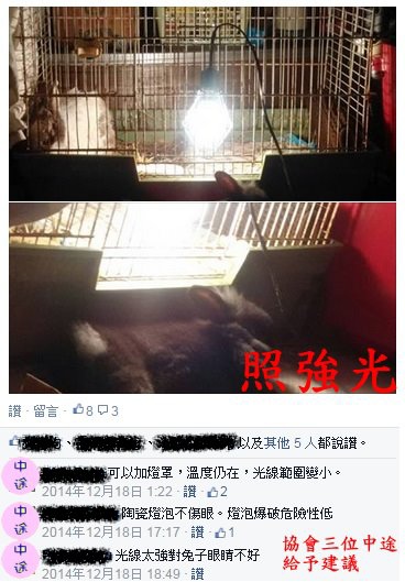 強光 強光