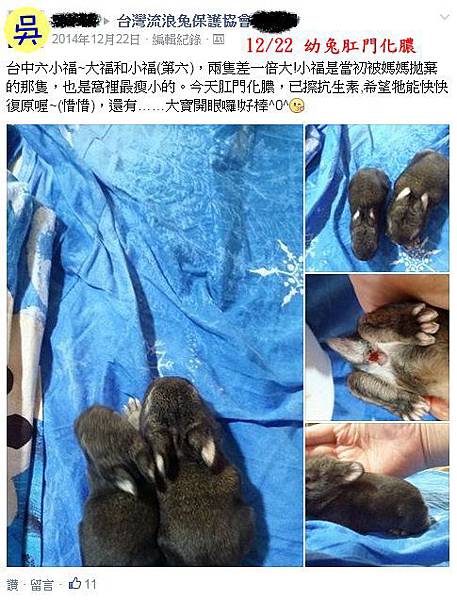 小福化膿 小福化膿