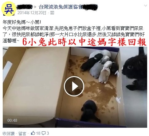 中途字樣 中途字樣