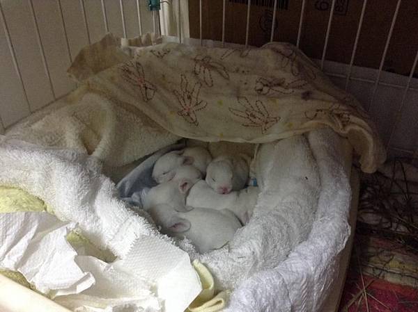 小小得~~2 小小得~~2