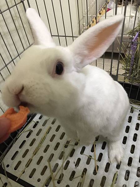 12483852_1086410231381292_92948168_n