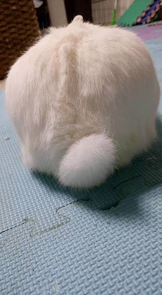 12347622_1052408531457603_7966267214881501237_n