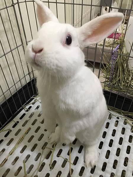 12463587_1086410214714627_1822203686_n 12463587_1086410214714627_1822203686_n