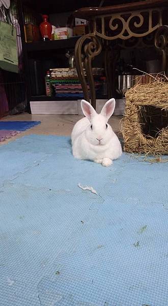 1174717_1052408514790938_5873664883395807771_n 1174717_1052408514790938_5873664883395807771_n