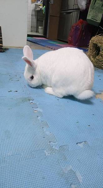 485108_1052408554790934_8850186992669376246_n 485108_1052408554790934_8850186992669376246_n