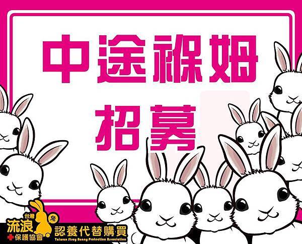 12790000_10207137606271262_1568285771_o