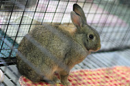 IMG_4959 IMG_4959
