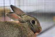IMG_4965 IMG_4965