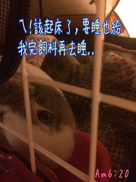 1212.jpg 1212.jpg