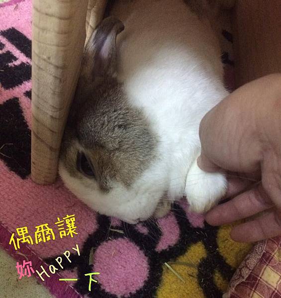 1203.jpg 1203.jpg