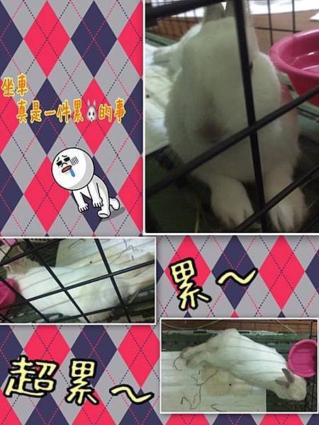 124.jpg 124.jpg