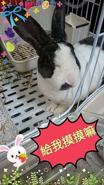 (3)_1_酒桶.jpg (3)_1_酒桶.jpg