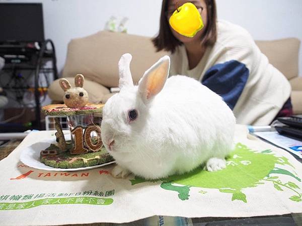 17759737_1462591450439307_8610232780696903912_n2.jpg 17759737_1462591450439307_8610232780696903912_n2.jpg